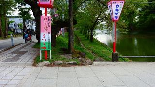 桜が綺麗でした