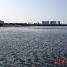 谷津干潟の風景