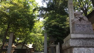 兎がいっぱいの神社