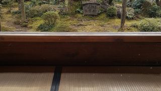 お庭を眺めお茶をいただく