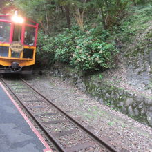 ホームに進入するトロッコ列車