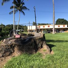 ここの横の駐車場に車を停めてカメハメハ大王像を見ました。