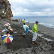 露天風呂が最高