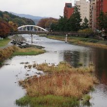 浅野川沿いは金沢を代表する風景でもある