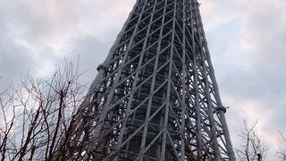 イルミネーションも