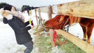 冬はゴルフ場ではなく　『ノース・スノーランド』