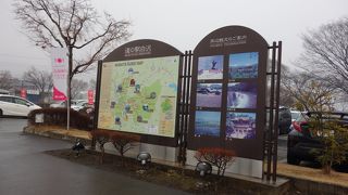 農産物が安かったです