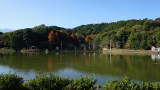 穏やかな水辺の景色を見ながら散策している人が大勢いて