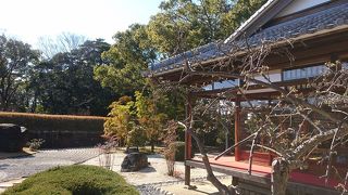 お茶で一服すると贅沢な時間が過ごせます。