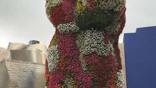 夏は満開でした