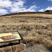 カメハメハ一世がハワイ統一のために建てた神殿(ヘイアウ)