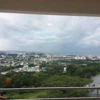 客室からの景色