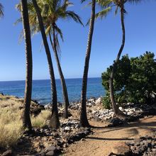トレッキングルートがあります。