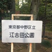 妙正寺川沿いの公園