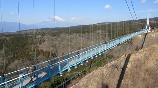 日本一の長さだそうですが・・・