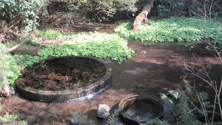 飲料水にも利用されています