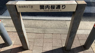 桜の木多いです