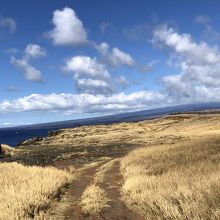 車を停めるところはでこぼこなので注意が必要