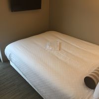 モデレート（シングル）