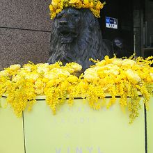 これもお仕事ですね(^-^ゞ