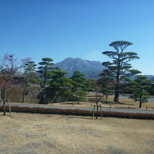 まずは、園内の芝生広場からパチリ！