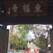 江古田のお寺