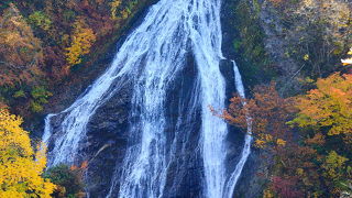 日本の滝100選にも選ばれている庄内の名瀑