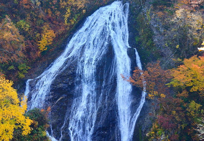 日本の滝100選にも選ばれている庄内の名瀑