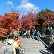 天龍寺八幡大菩薩紅葉