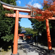 天龍寺八幡大菩薩鳥居