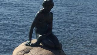 海岸の岩の上にポツンと座っていました