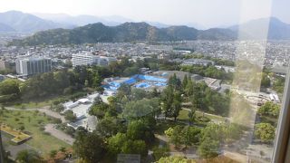 静岡市のシンボルの一つ