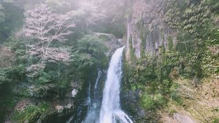 河津七滝最大の滝