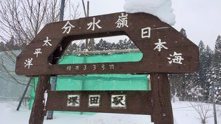 冬は見られません・・・