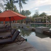 プールは2ヵ所（こちらは大人専用）