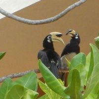 ホテルの敷地は自然が豊かです