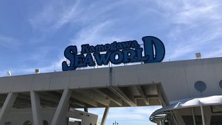 シャチのショーは必見