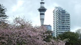 オークランド随一の名所