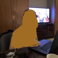 大きなテレビとワードローブ