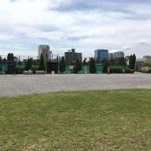 小高くなった広場