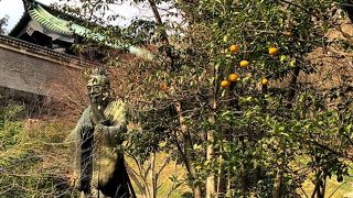 やや意外な場所に