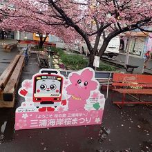駅前の河津桜とキャラクター