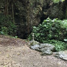 鬱蒼と茂る草木