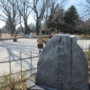 開放的な雰囲気の広大な公園です。