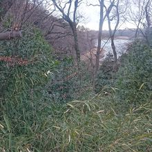自転車歩行車道からの眺望はイマイチです。