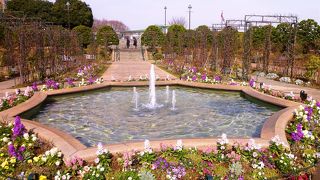 多様な花々が咲いている八角プールに噴水が♪