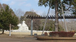 広くて整備に行き届いた公園