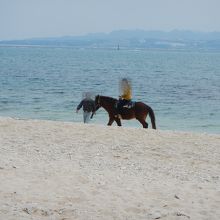馬に乗ってビーチ散策♪最高の体験です。