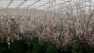 四ツ橋なんばと御堂筋なんばと日本橋までつなぐ地下街