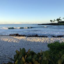 白い砂が続きます